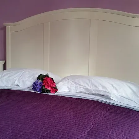 Il Sorriso Di Elisabetta Bed & Breakfast Parma